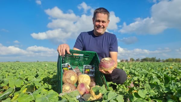 Lächelnder Mann in blauem Shirt sitzt im Feld, hält Steckrübe und hat eine grüne Kiste voller Steckrüben aus Eigenproduktion vor sich..