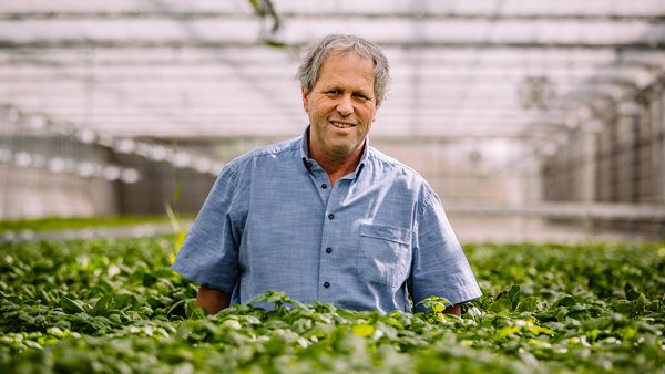 Lächelnder Mann in blauem Hemd steht in einem Gewächshaus, umgeben von üppigen grünen Kräutern aus Eigenproduktion.