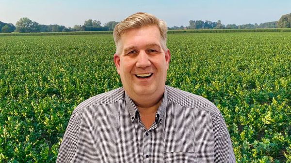 Lächelnder Mann im grau-karierten Hemd steht auf einem großen grünen Selleriefeld aus Eigenproduktion.